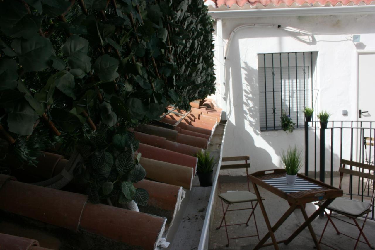 Malaguena Salerosa "Apartamento - Estudio Con Terraza" En Casa Tipica De 1 A 4 Dormitorios マラガ エクステリア 写真